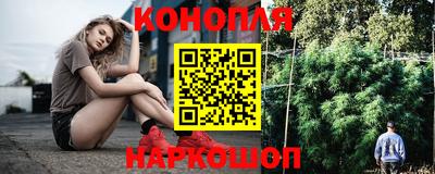 шишки Абакан