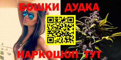шишки Абакан
