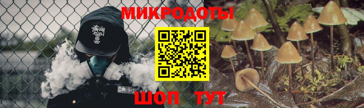 Галлюциногенные грибы Psilocybe Абинск